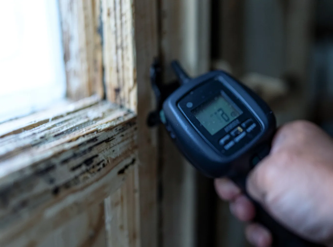Ceiling Water Damage Repair in Forest Ranch, CA